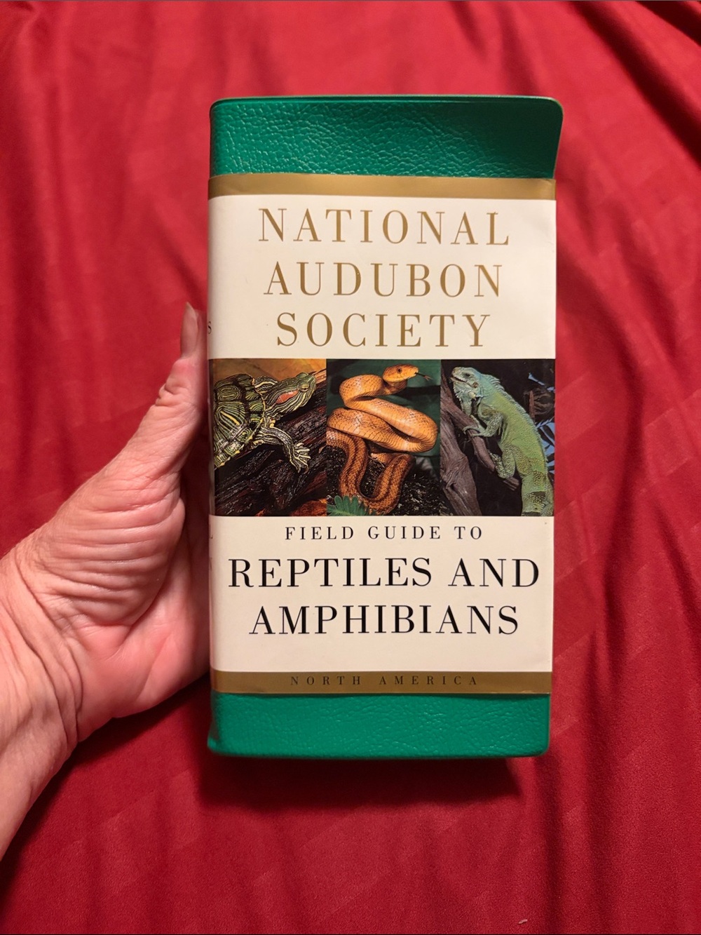 Field Guide to Reptiles and Amphibians - book Green
